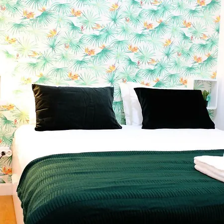 Feelcoimbra Santa Cruz