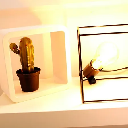 Feelcoimbra Santa Cruz *