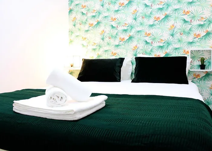 Feelcoimbra Santa Cruz Coimbra