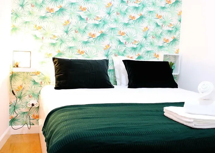 Feelcoimbra Santa Cruz